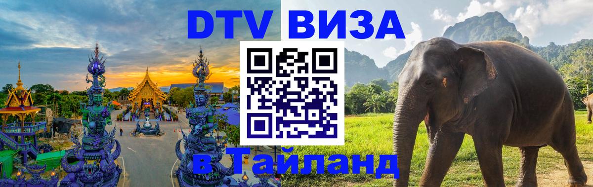 Оформление DTV визы под ключ: стоимость и тарифы, только загранпаспорт - 08.01.2026 